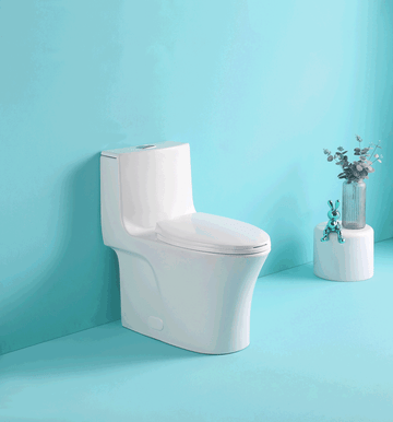 bidet toilet seat