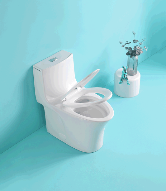 bidet toilet seat