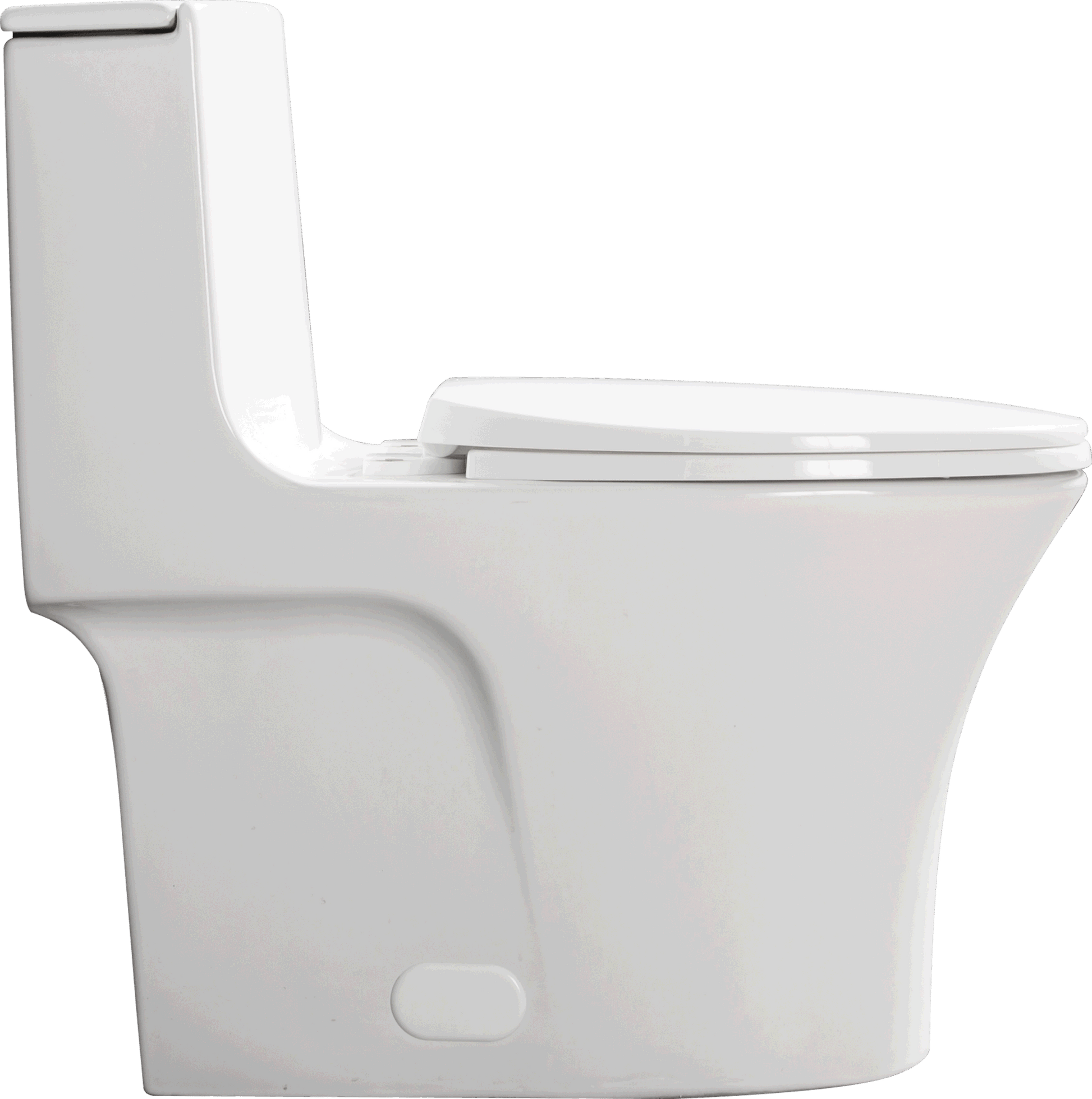 bidet toilet seat