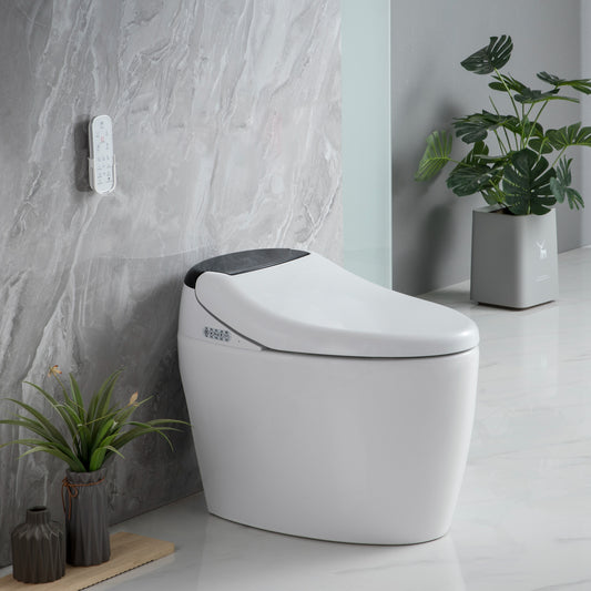 bidet toilet seat